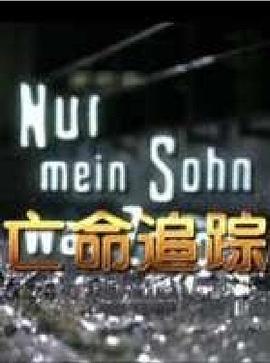老电影霍元甲