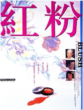 往南忘北短剧免费观看
