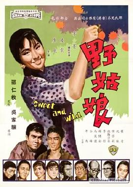 冰山上的来客主题曲