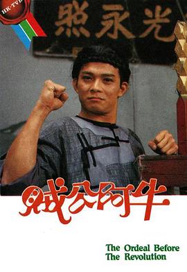 金锋团队