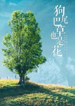 洲际导弹威力有多大