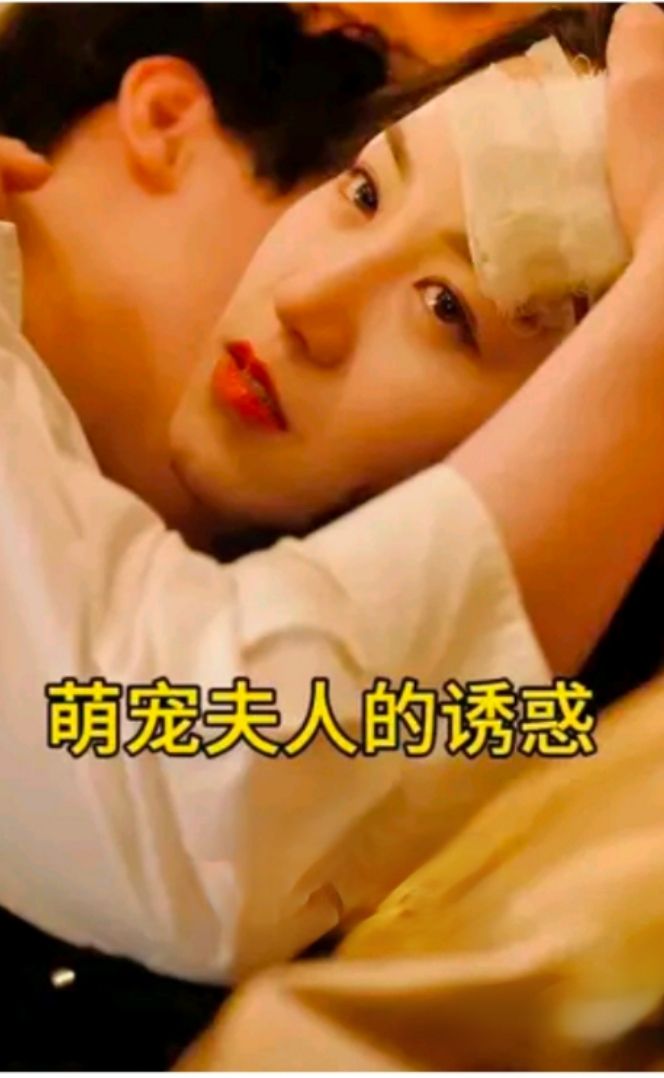 2013年陕西中考