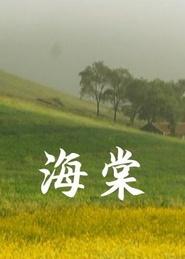 五个校花两个爸