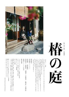 糖尿病治疗仪