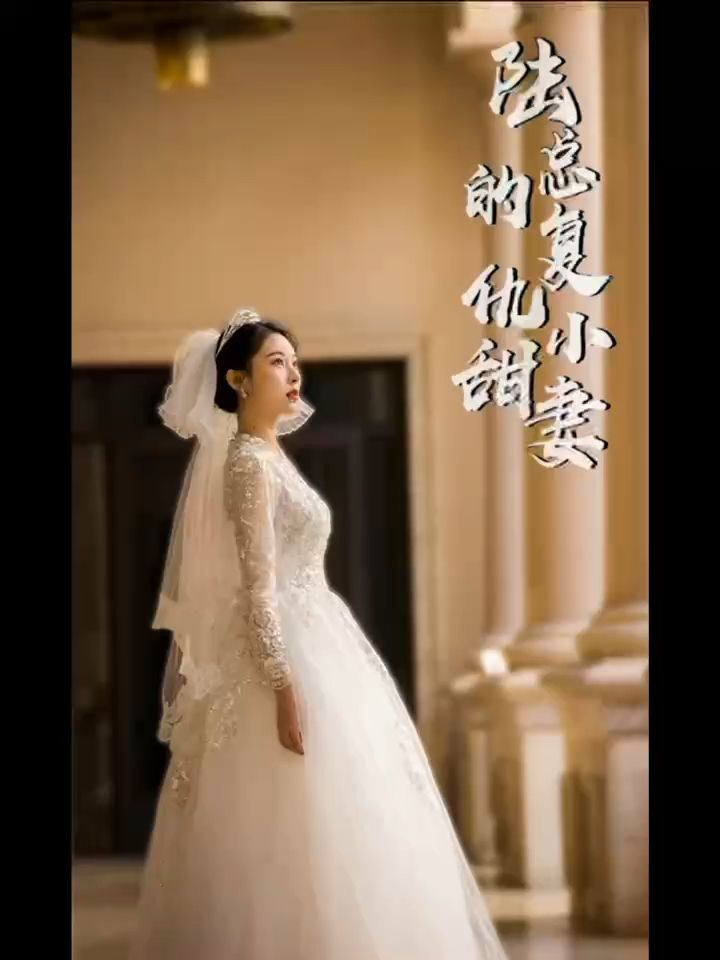 秦海璐主演的电视剧