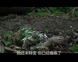特工犬阿奇