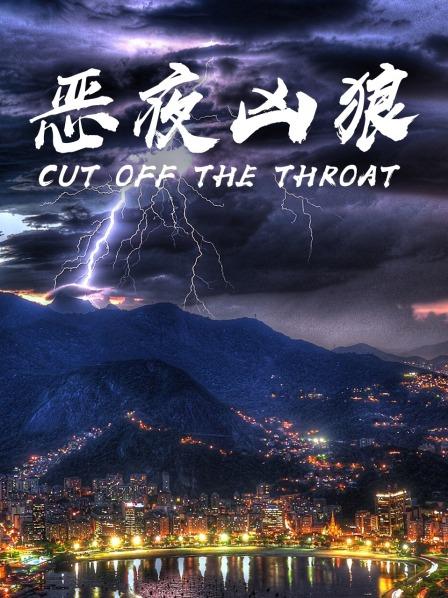 被扫毒风暴剧情解析硬控