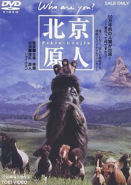 了不起的麦瑟尔夫人