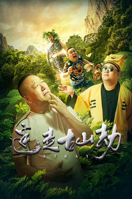 测试种类