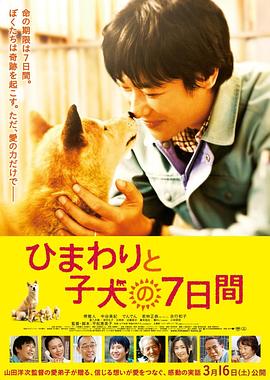 乔安娜宣布退役