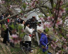 这么多年什么时候上映