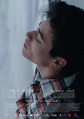 一菲