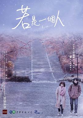 加拿大最后一个完整北极冰架坍塌