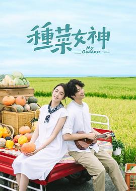 御前四宝 电视剧