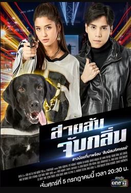 步步惊心若曦结局