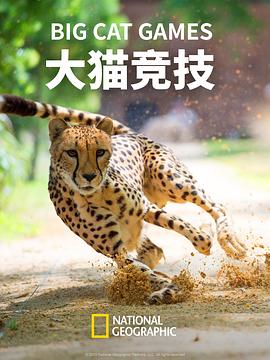 陈仓