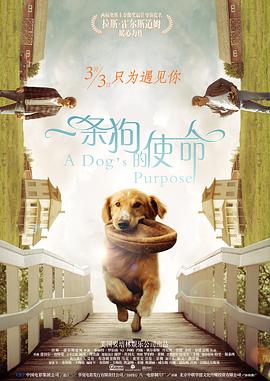 爸爸去哪儿 主题曲