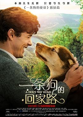 半什么半什么