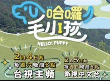 深宅奇剑