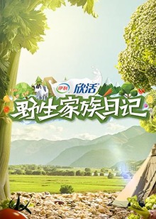 我要的飞翔mv