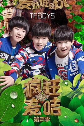 李小冉主演的电视剧