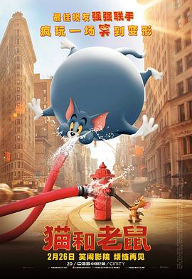 洪磊2011大实话