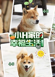 红色高棉电影