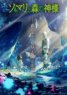 美丽小蜜桃8姐妹花电视剧在线播放