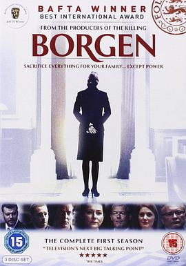 虚实之间芮成钢