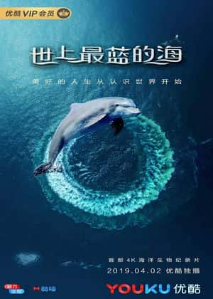 谍 莲花