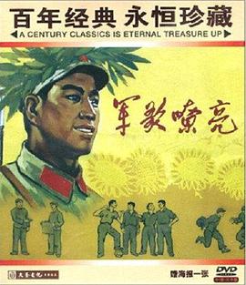 酒井法子在线乞讨