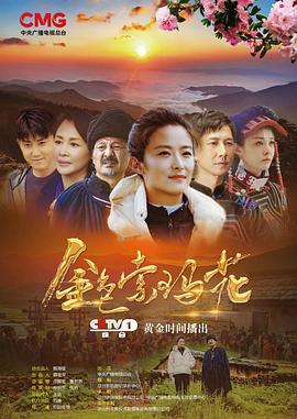 电吹风哪个品牌好 适合家用