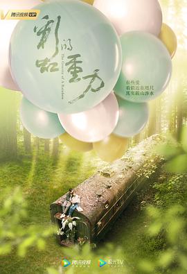 回忆之前,忘记之后