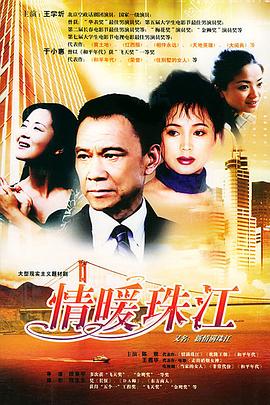 前夫求爱记电视剧