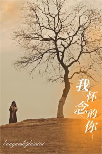 圣斗士星矢冥王神话国语版全集