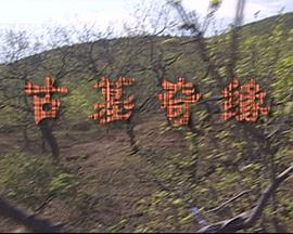 蕙兰瑜伽冥想曲