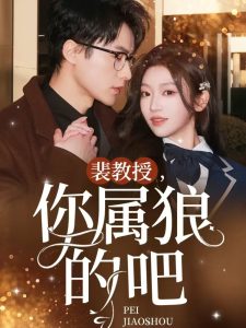 跨过鸭绿江第八集