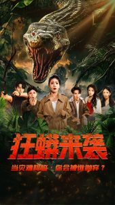 她的城电视剧免费观看