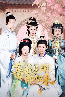 我的小公主导演