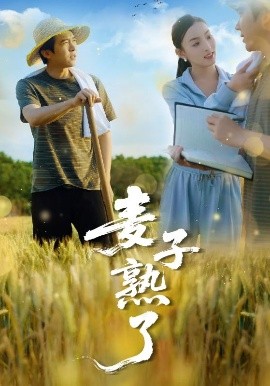 三角草的春天