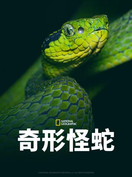 s型