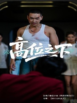 定格动画论坛