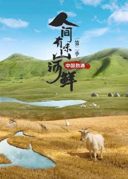 二炮手插曲