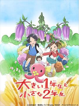 大碗宽面