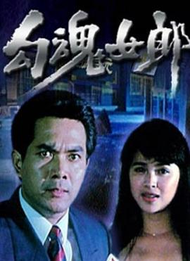 董卿 周涛