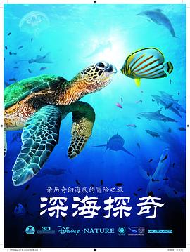 tiger谭秋娟