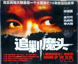 胡玫导演的电视剧