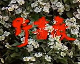 刀走偏锋