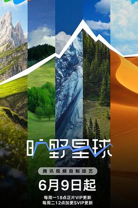 宋庆龄故居的樟树