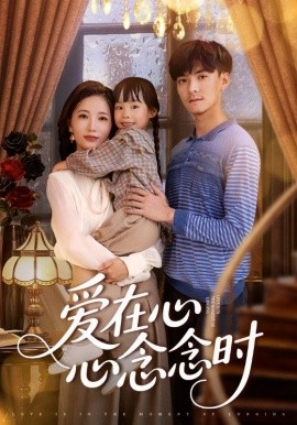 铁甲小宝 小百合